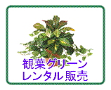 �ϗt�O���[�������^���̔�