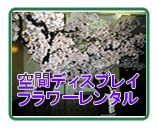 ����ԃf�B�X�v���C �t�����[�����^��