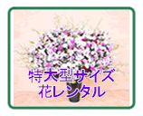 ����^�T�C�Y�ԃ����^��