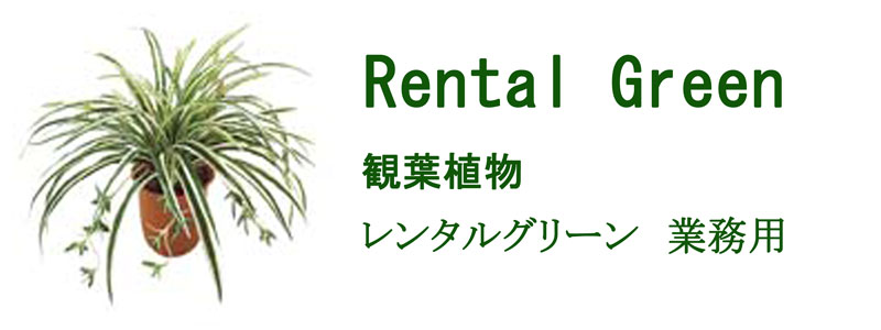 RentalGreen観葉植物レンタルグリーン業務用